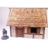 Half Timbered Village House 1