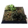 Green Foliage - Mixed-Green Bushes - SCENIC TUB - Miniature Basing System