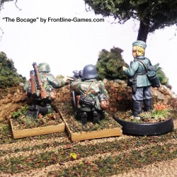 BATTLEFIELD BOX! - COMPLETE HEDGEROW SET!