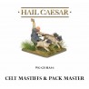 Celtic Mastiffs & Pack-Master 28mm Ancients WARLORD GAMES