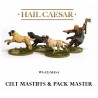 Celtic Mastiffs & Pack-Master 28mm Ancients WARLORD GAMES