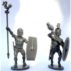 Ancient Gallic Celtic Naked Fanatics (24) 28mm Plastic VICTRIX MINIATURES