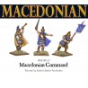 Macedonian command 28mm Ancient Greek WARLORD GAMES