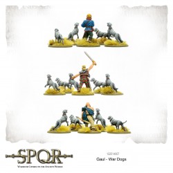 SPQR Gaul War Dogs 28mm Ancient WARLORD GAMES