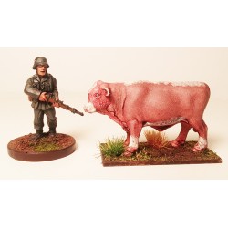 Farm Animals - Cows (Livestock - Cattle) 28mm Wargaming FRONTLINE GAMES