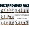 GALLIC GAUL WARRIORS (10) 28mm Ancients