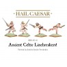 Celtic Linebreakers! 28mm Ancients WARLORD GAMES