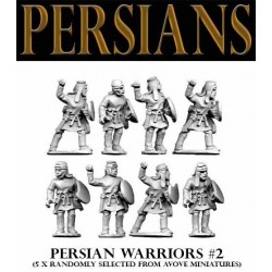 Persian Warrior Infantry 2 (5) 28mm FOUNDRY