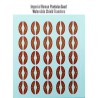 Imperial Roman Praetorian Guard shield  transfers Decals Sheet WARLORD GAMES