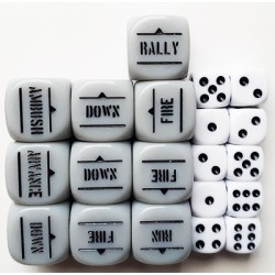 GREY ORDER DICE & D6s SET BOLT ACTION (20) WWII WARLORD GAMES