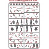 Ancient Dacians Warriors Sprue (8) 28mm Plastic VICTRIX MINIATURES