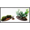 JUNGLE SET 1 - THE JUNGLE! - JUNGLE TERRAIN! FRONTLINE GAMES