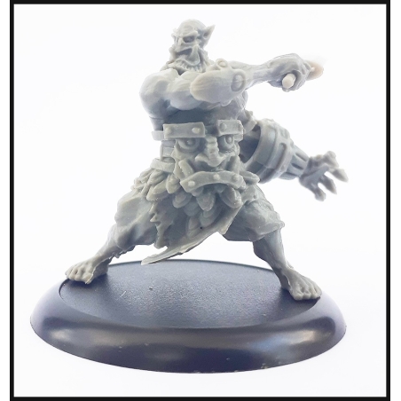 WRATH 5 - SHAEL HAN - WRATH OF KINGS - GENERIC RPG MINIATURES