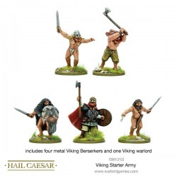 Viking Starter Army box set 28mm DARK AGES HAIL CAESAR WARLORD GAMES