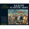 Saxon Starter Army box set 28mm DARK AGES ANCIENTS HAIL CAESAR WARLORD GAMES