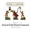 Ancient Celt Fanatic command WARLORD GAMES