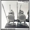 Amazon Warriors! (10) 28mm Ancients WARGAMES FACTORY