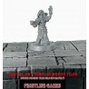 Vestal 28mm RPG miniatures DARKEST DUNGEON