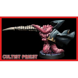 Cultist Priest 28mm RPG miniatures DARKEST DUNGEON