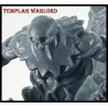 TEMPLAR WARLORD 2 Large Miniature 28mm RPG miniatures DARKEST DUNGEON